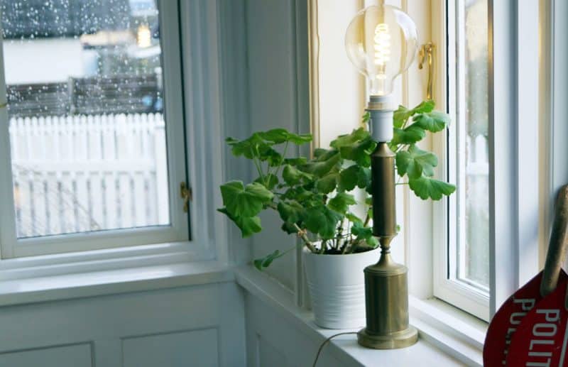 Høj, slank messinglampe
