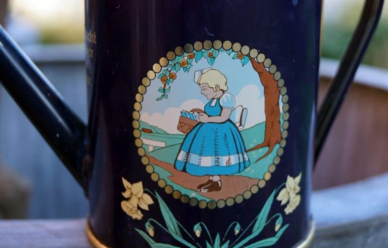 Irma lille vandkande i blik