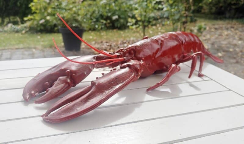 Hummer i plastik. Fuld størrelse. Made in Italy