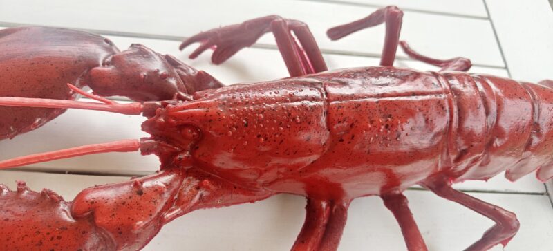 Hummer i plastik. Fuld størrelse. Made in Italy