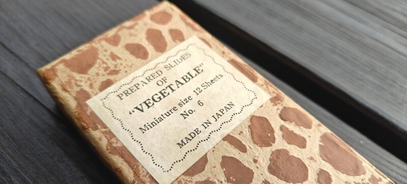 Gamle objektglas til mikroskop med indhold. Prepared Slides of Vegetable. Miniature size. No 6